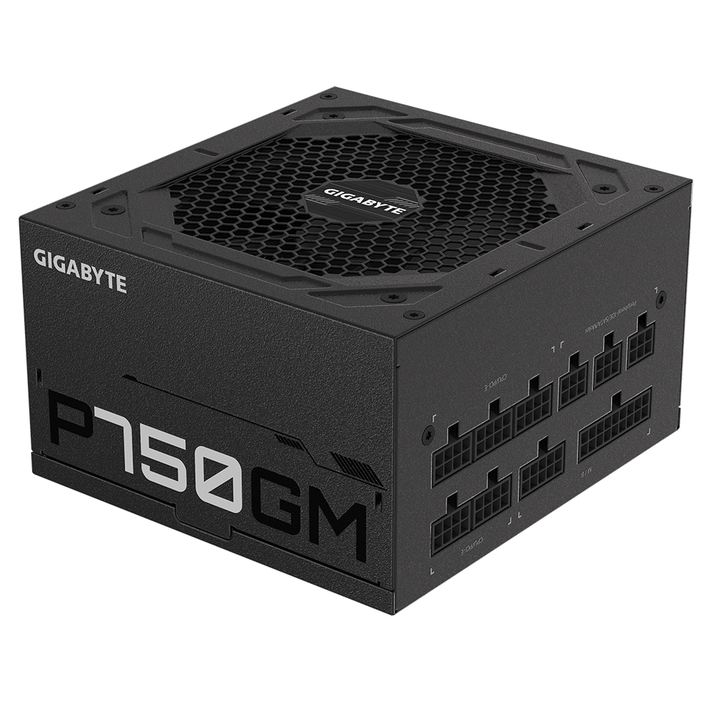 Buy Gigabyte P750GM 750 Watts 80 Plus Gold Fully Modular PC Component