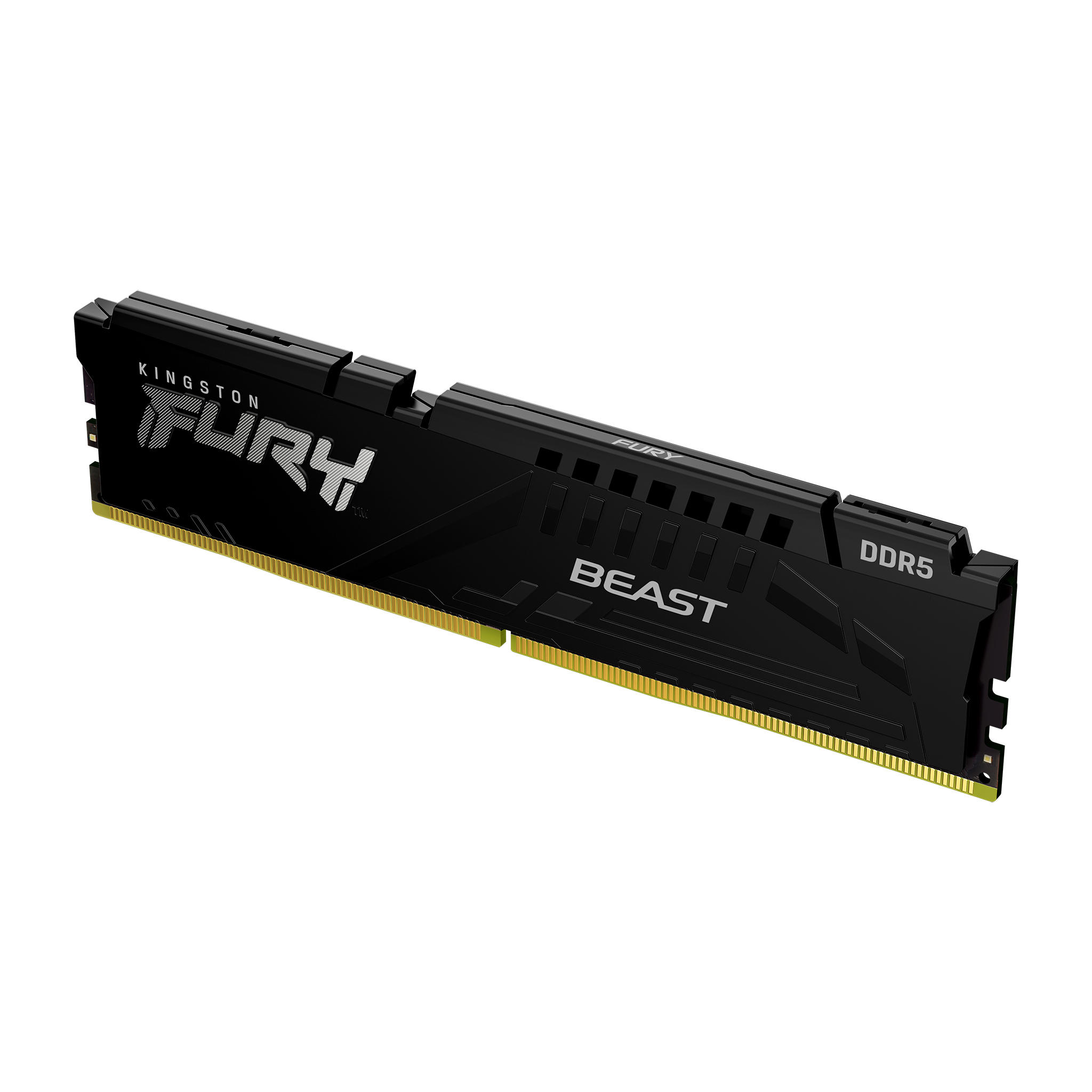 Kingston Fury Beast 16GB (16GBx1) DDR5 6000MHz (Black) DDR5 RAM Memory Kingston