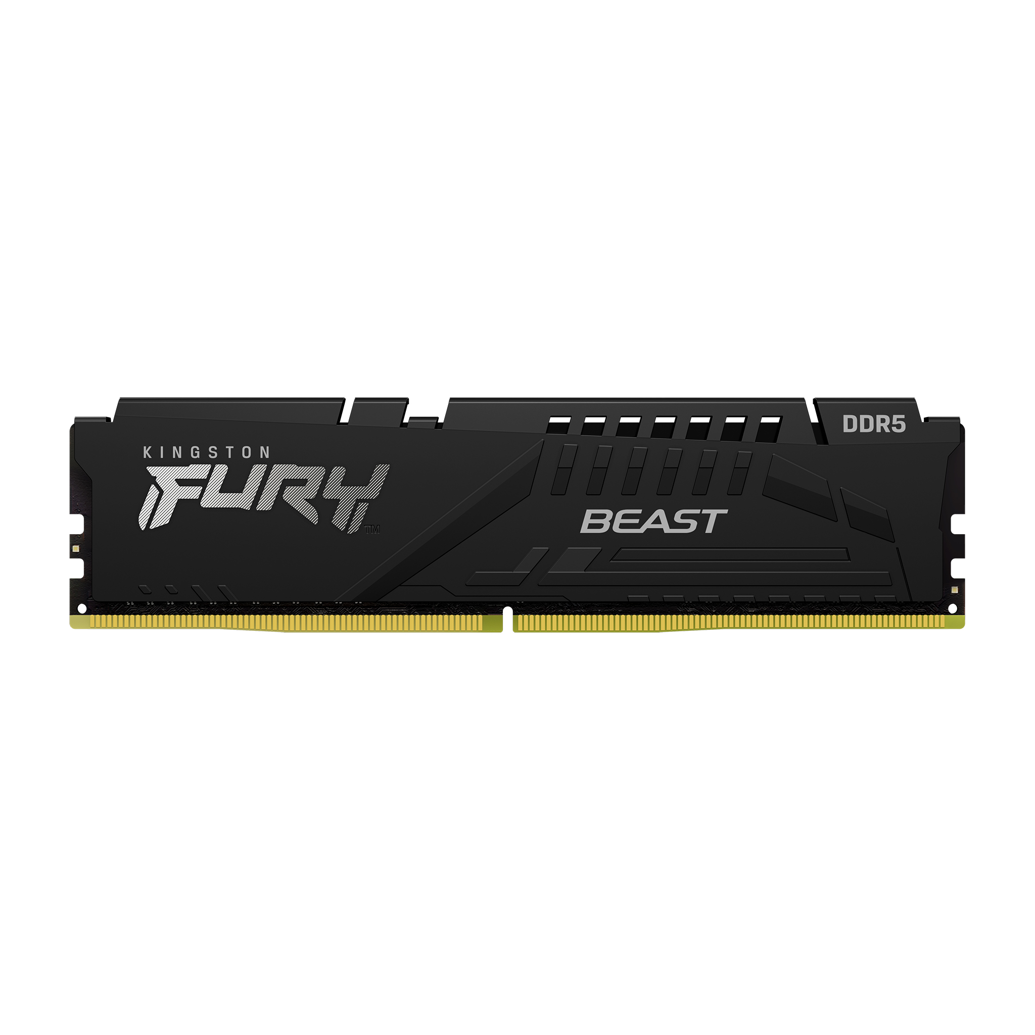 Kingston Fury Beast 16GB (16GBx1) DDR5 5200MHz (Black) DDR5 RAM Memory