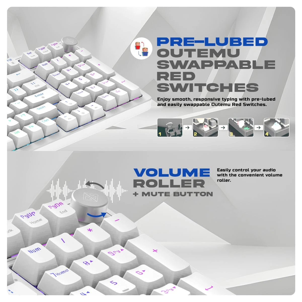 Buy Cosmic Byte Phantom Gasket (CB-GK-41) Swappable Red Switches (White) Mechanical Keyboard