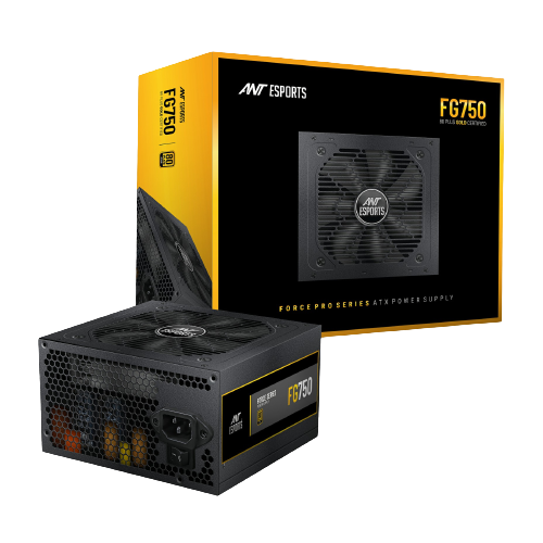 Ant Esports FG750 750 Watt 80 Plus Gold Power Supply