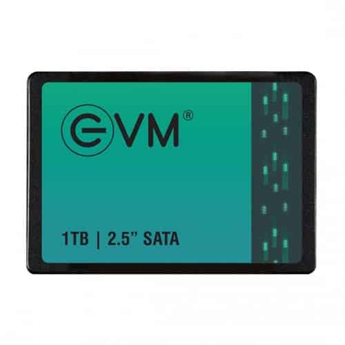 EVM 1TB SATA SSD