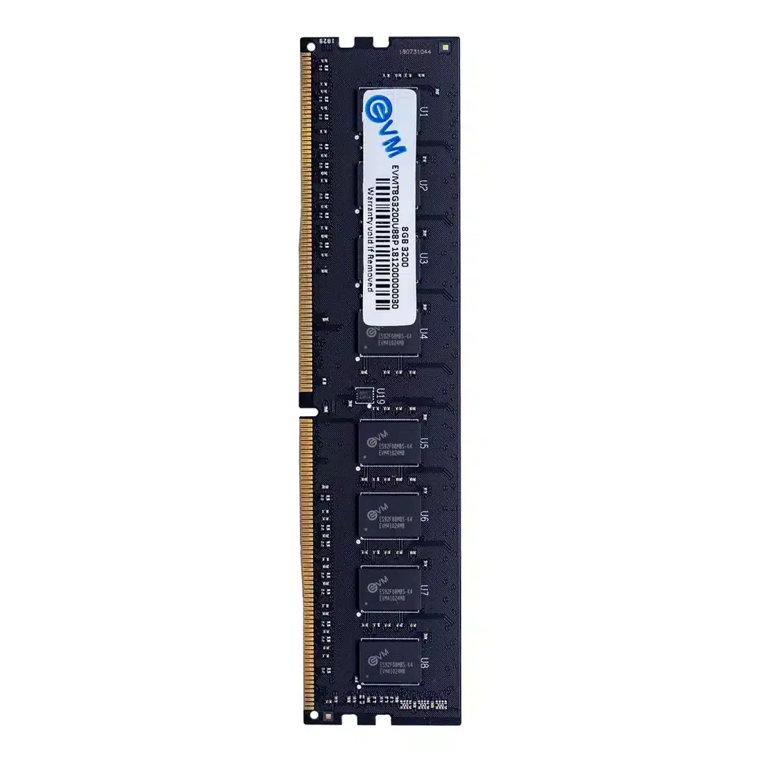 EVM 8GB 3200MHz (DDR4) RAM