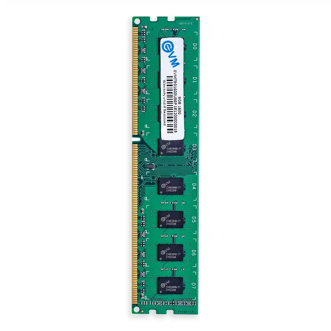EVM 8GB 1600MHz (DDR3) RAM