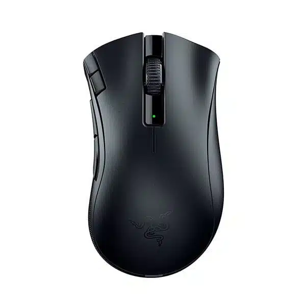 Razer DeathAdder V2 X HyperSpeed Wireless (Black)