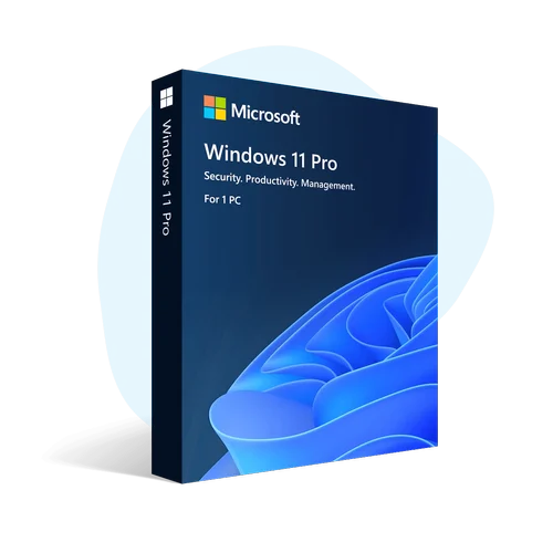 Windows 11 Pro License Key
